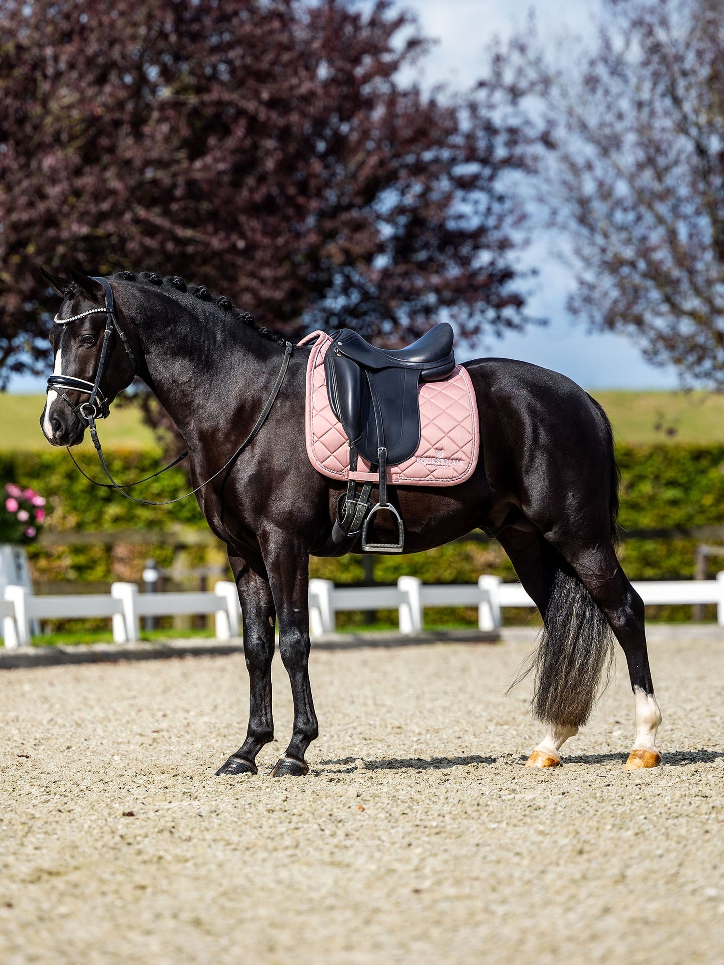 Dressage Saddle Pad Equestrian Stockholm Dressage Saddle Pad Line Pink detalle 9