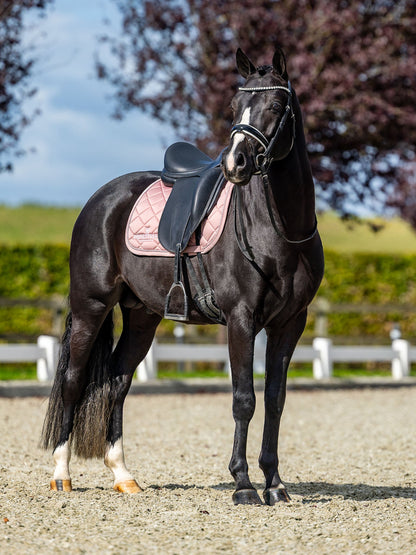Dressage Saddle Pad Equestrian Stockholm Dressage Saddle Pad Line Pink detalle 10