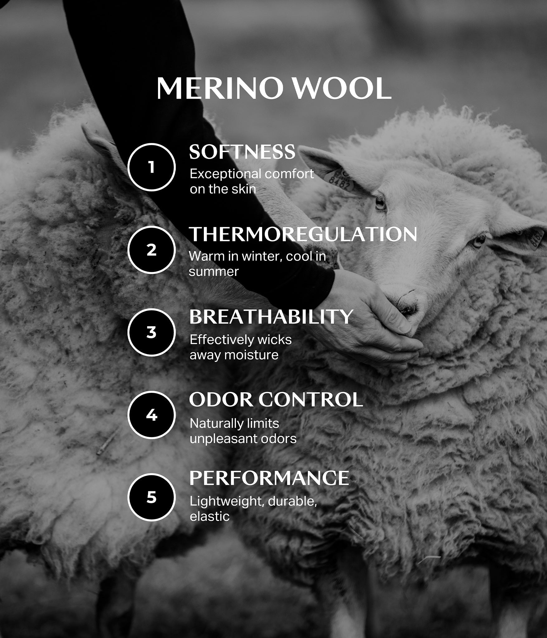 Camisas técnicas Merino wool riding T-shirt for men Horse Pilot para equitación - vista 8