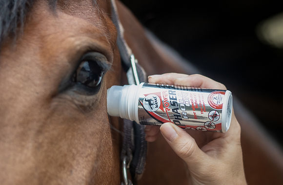 Roll On Power Phaser Repelente Natural Zonas Sensibles Caballo 50ml Leovet