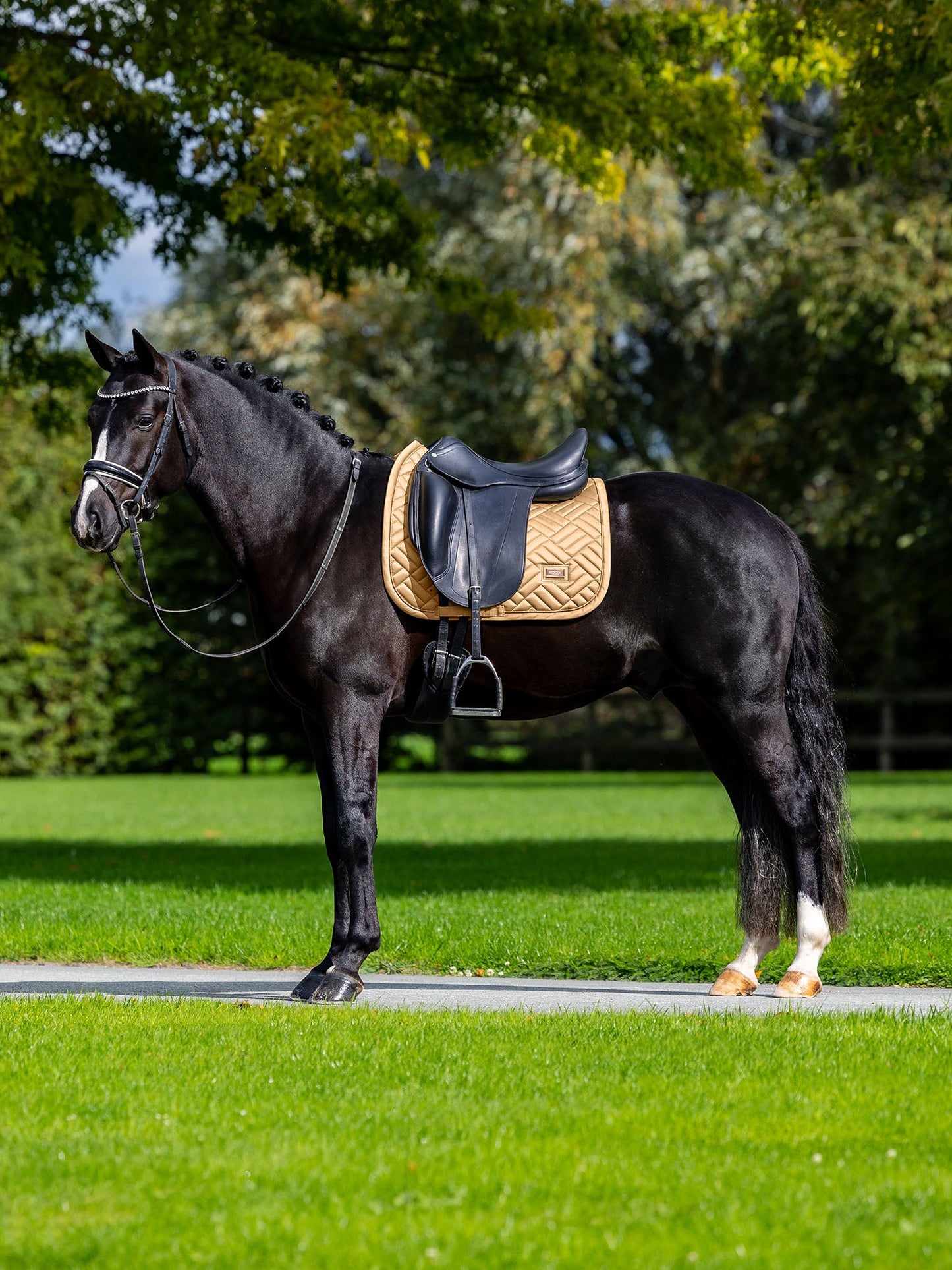 Dressage Saddle Pad Modern Equestrian Stockholm Dressage Saddle Pad Modern detalle 6