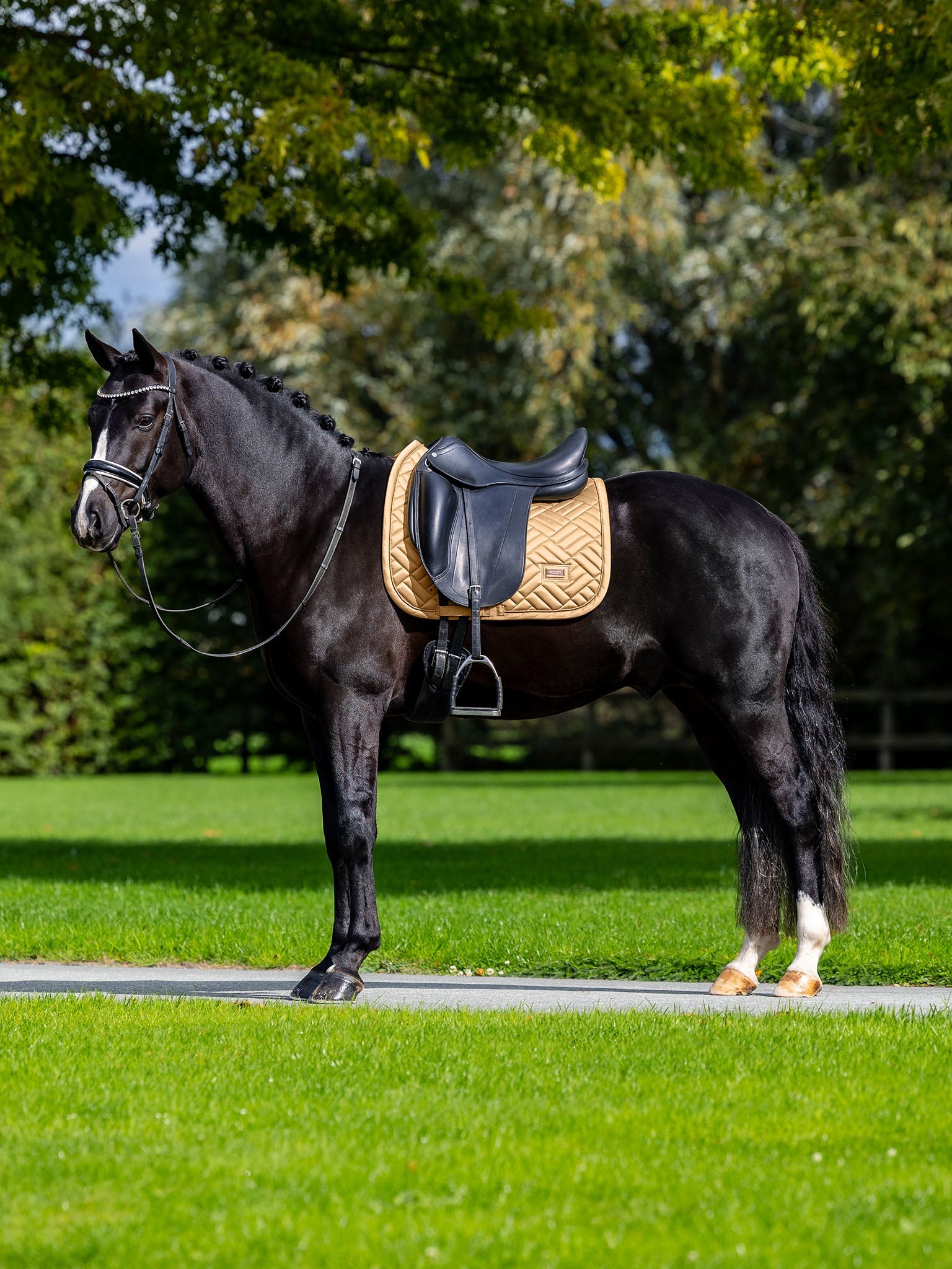 Dressage Saddle Pad Modern Equestrian Stockholm Dressage Saddle Pad Modern detalle 6