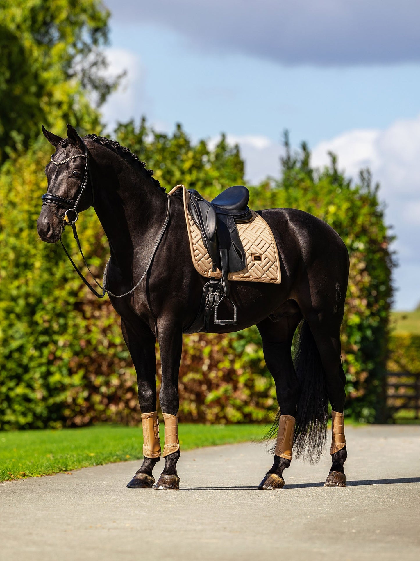 Dressage Saddle Pad Modern Equestrian Stockholm Dressage Saddle Pad Modern detalle 5