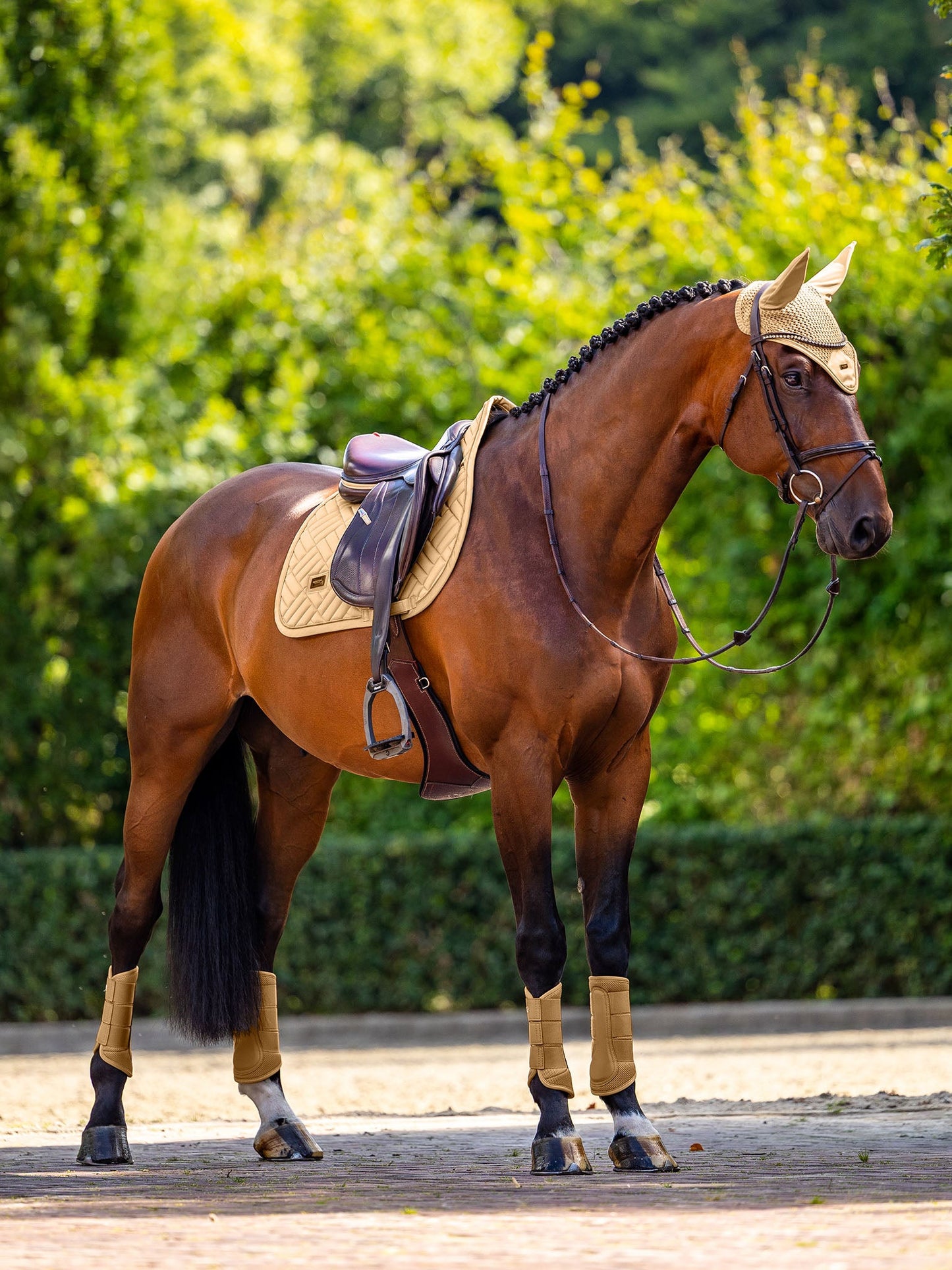 Jump Saddle Pad Modern Equestrian Stockholm Jump Saddle Pad Modern Midsummer detalle 5