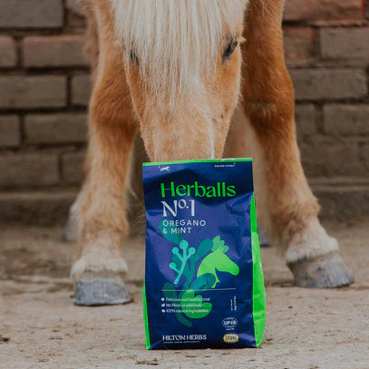 Hilton Herballs Nº1 – Orégano &amp; Menta – 500 g