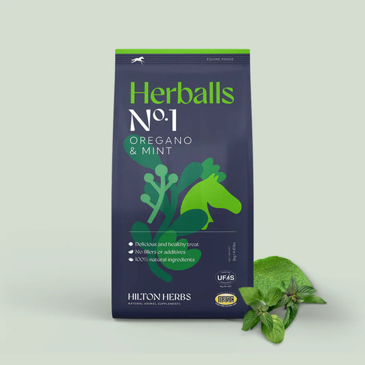 Hilton Herballs Nº1 – Orégano &amp; Menta – 500 g