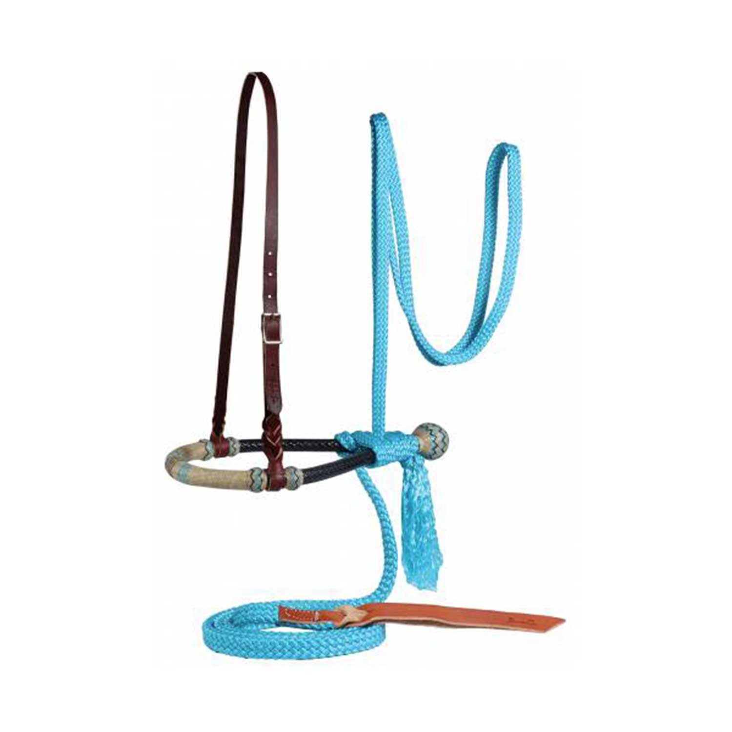 Conjunto bosal mecate Professional's Choice - Turquesa