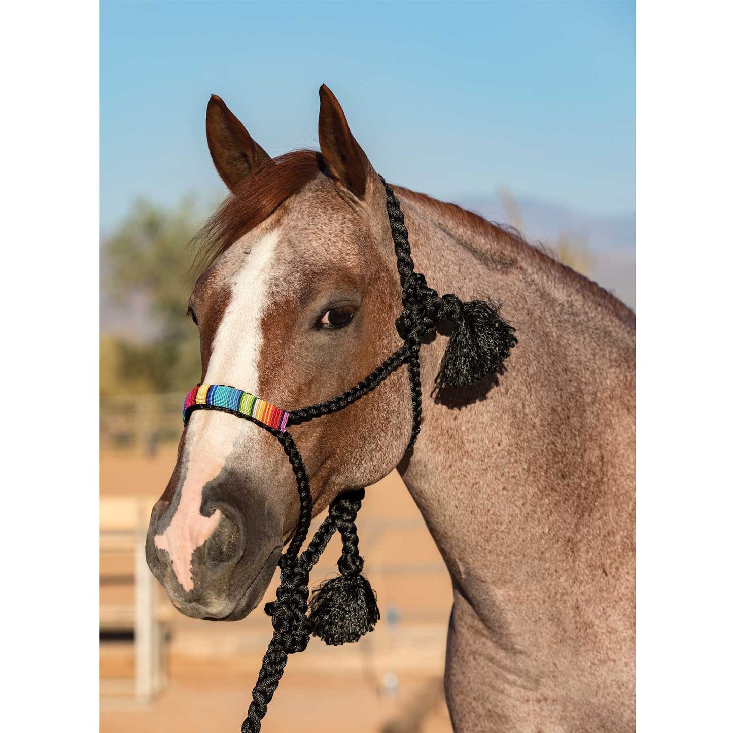 Cabezada trenzada de vaquero Professional's Choice - Black/Serape