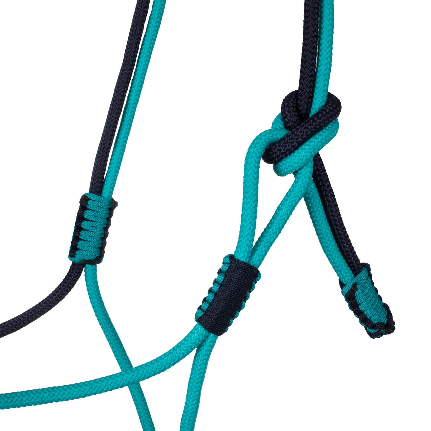 Cabezada trenzada con decoraciones Pool's - Teal/Nv