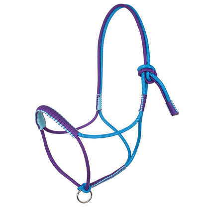 Cabezada trenzada con decoraciones Pool's - Turquoise/Purple