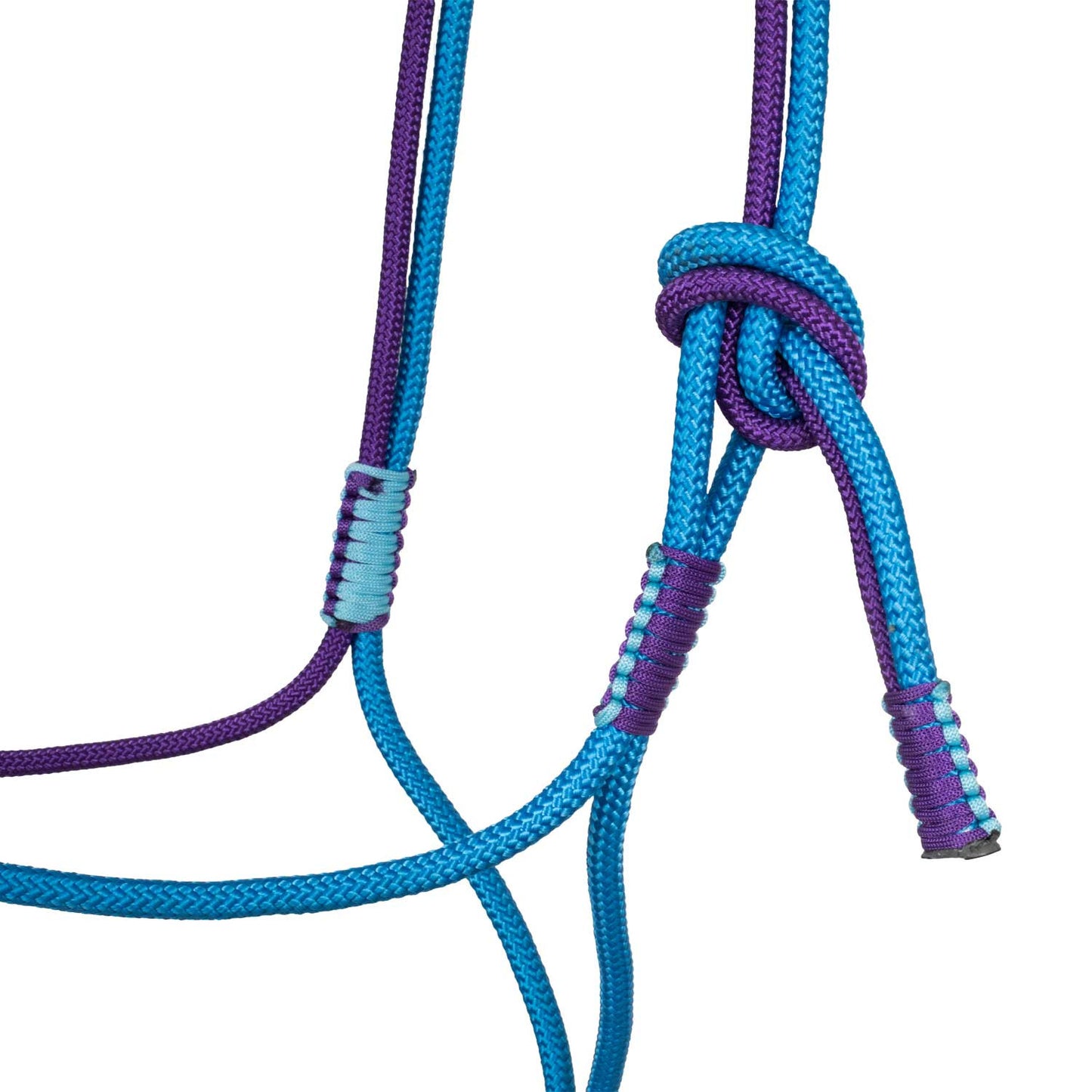 Cabezada trenzada con decoraciones Pool's - Turquoise/Purple