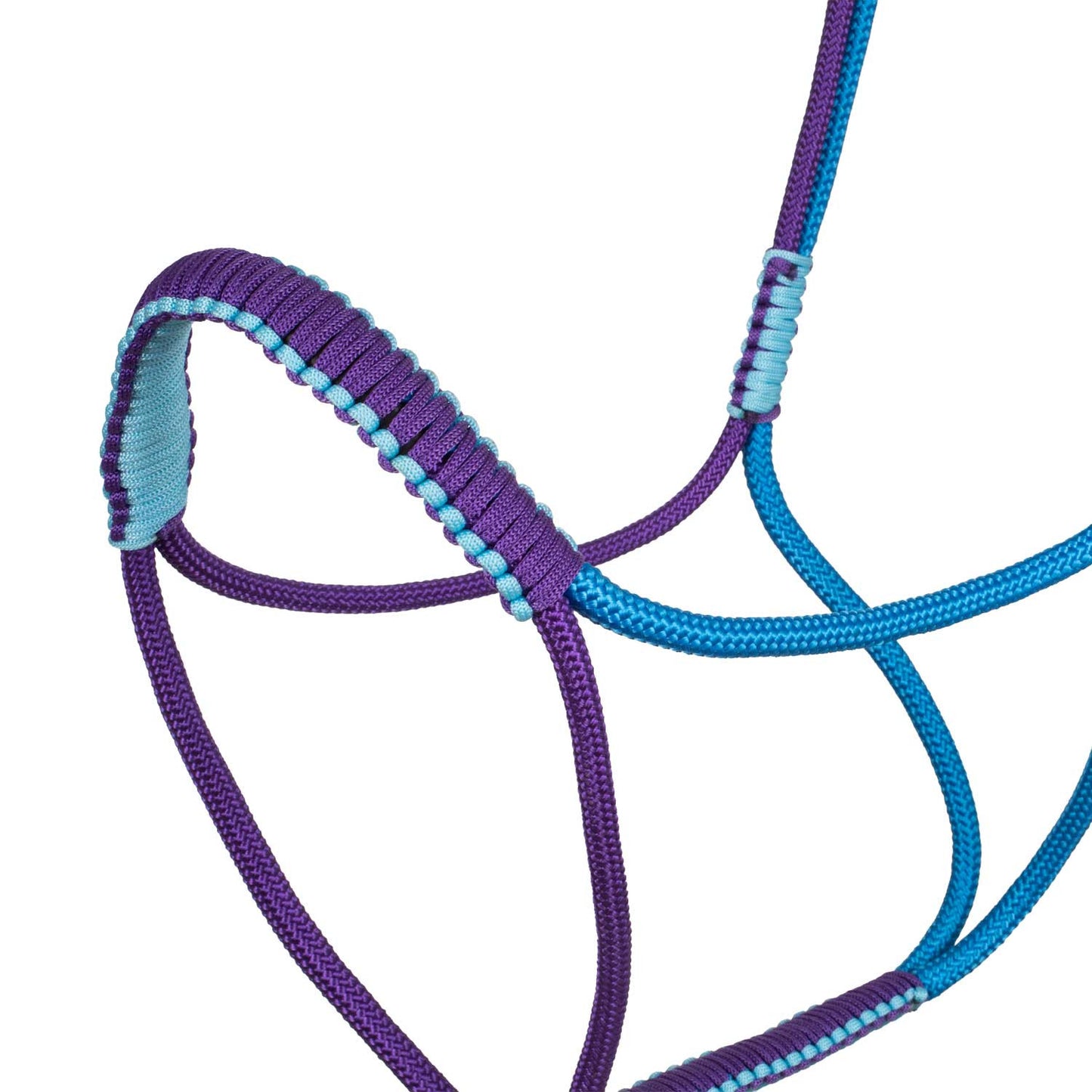Cabezada trenzada con decoraciones Pool's - Turquoise/Purple