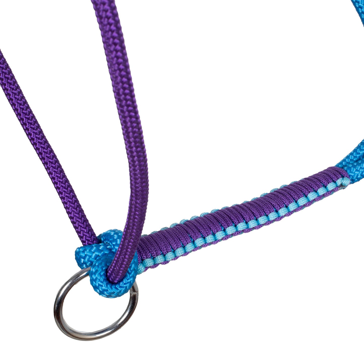 Cabezada trenzada con decoraciones Pool's - Turquoise/Purple