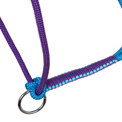 Cabezada trenzada con decoraciones Pool's - Turquoise/Purple
