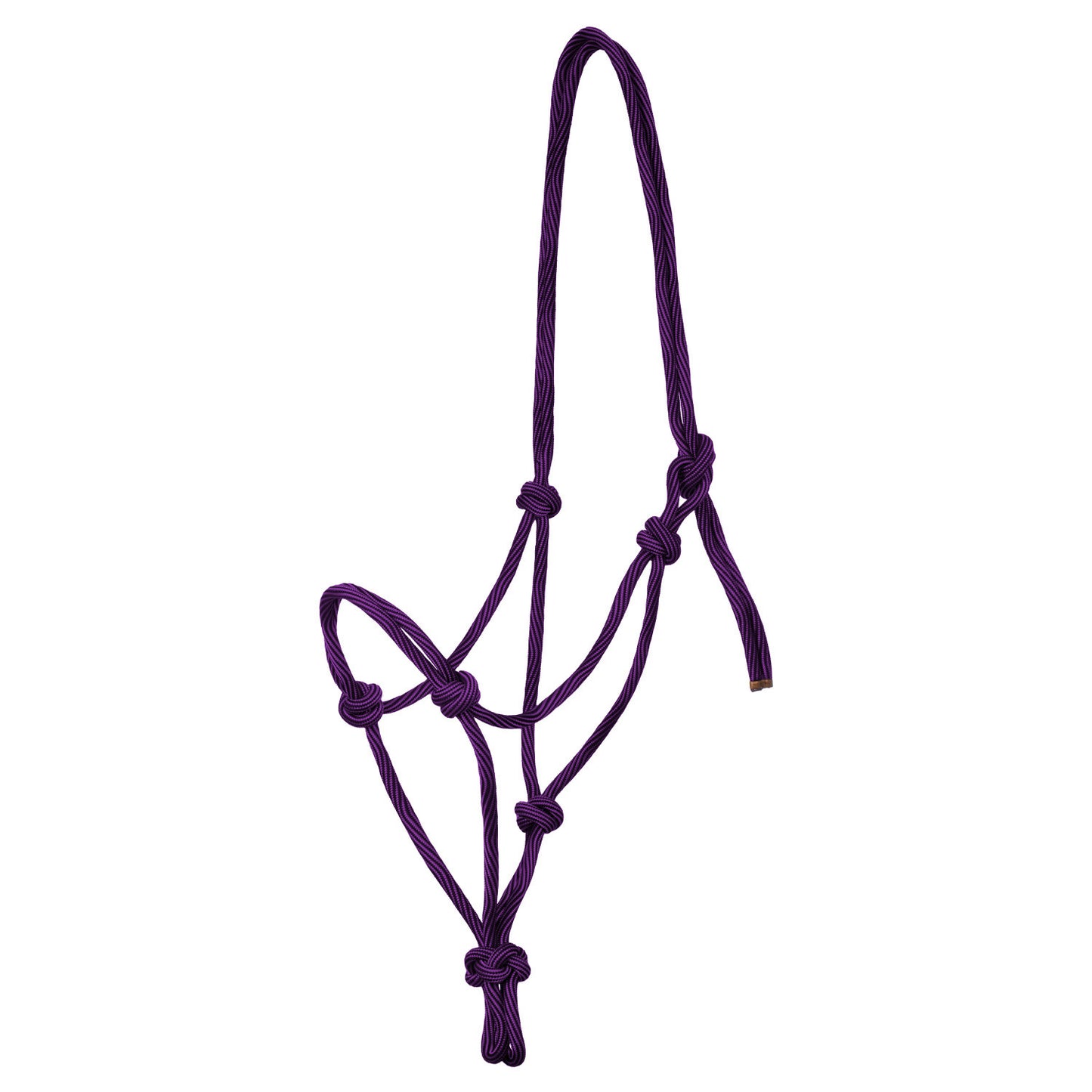 Cabezada de cuerda anudada ajustable Pool's - Purple/Black