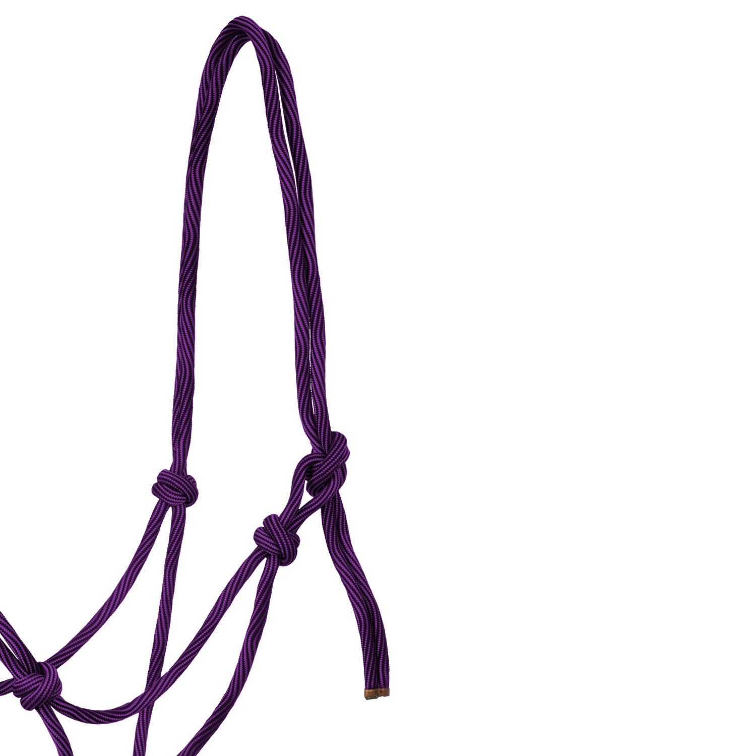 Cabezada de cuerda anudada ajustable Pool's - Purple/Black