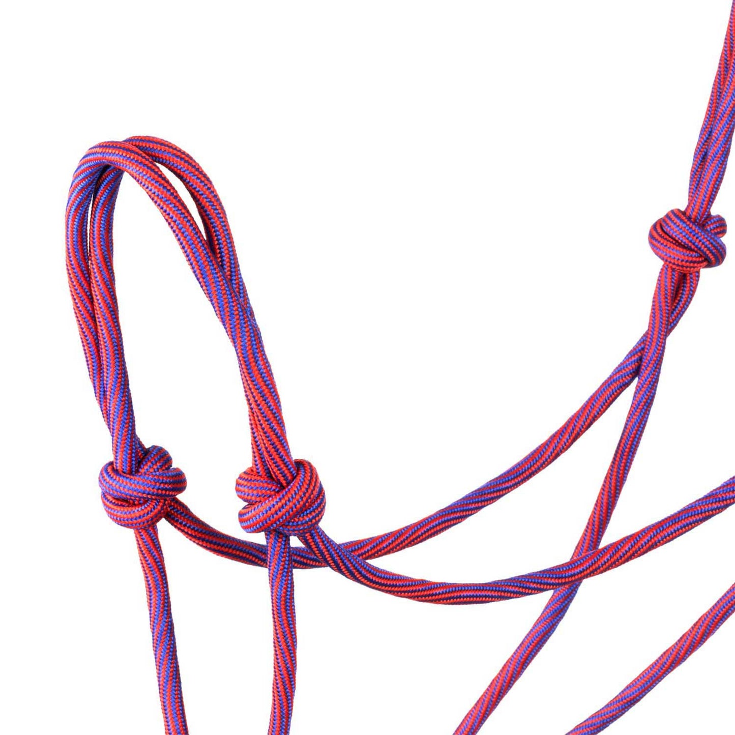 Cabezada con diseño de ondas Pool's - Pink/Purple