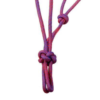 Cabezada con diseño de ondas Pool's - Pink/Purple