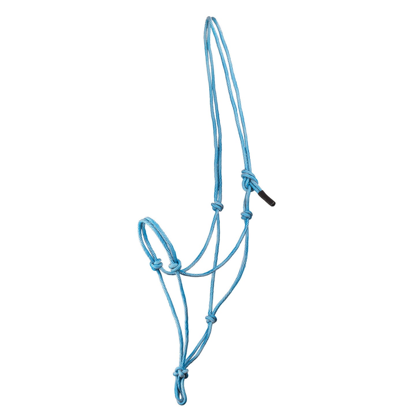 Cabezada con diseño de ondas Pool's - Sky Blue/Turquoise