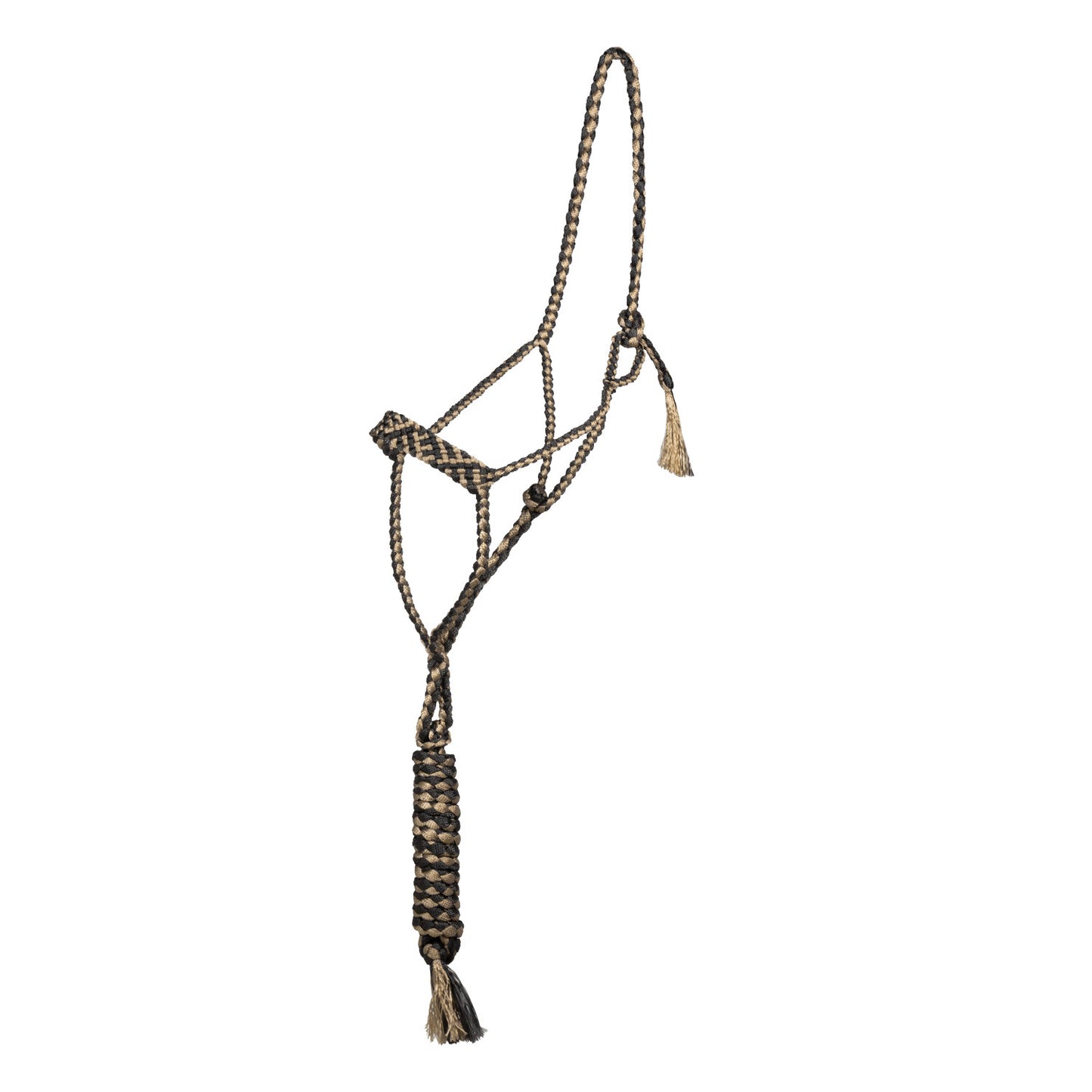 Cabeza larga con ramal Pool's - Black/Beige
