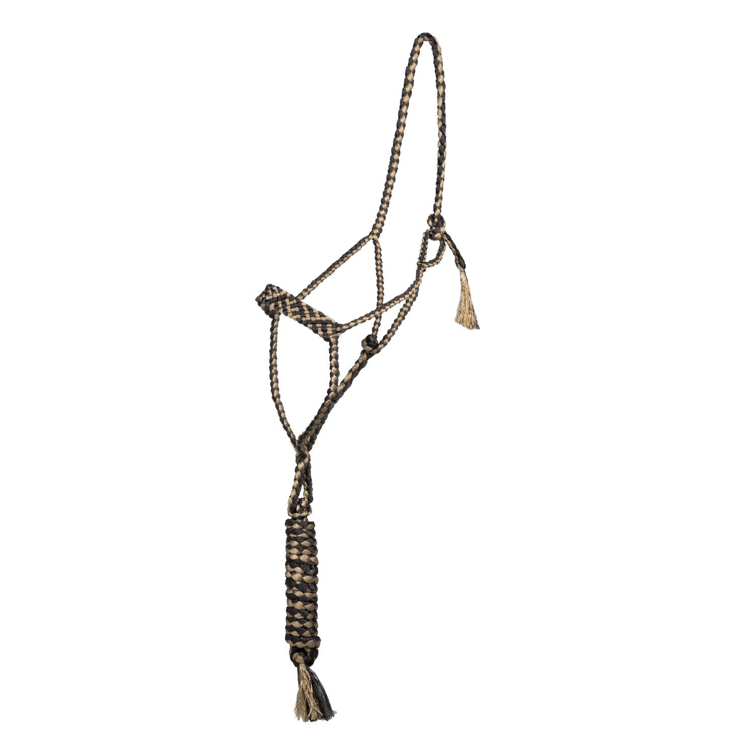 Cabeza larga con ramal Pool's - Black/Beige