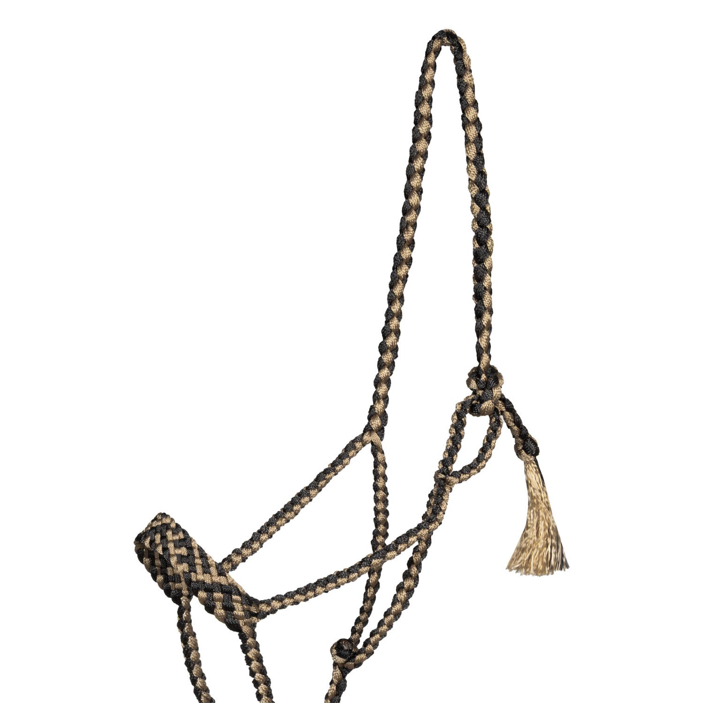 Cabeza larga con ramal Pool's - Black/Beige