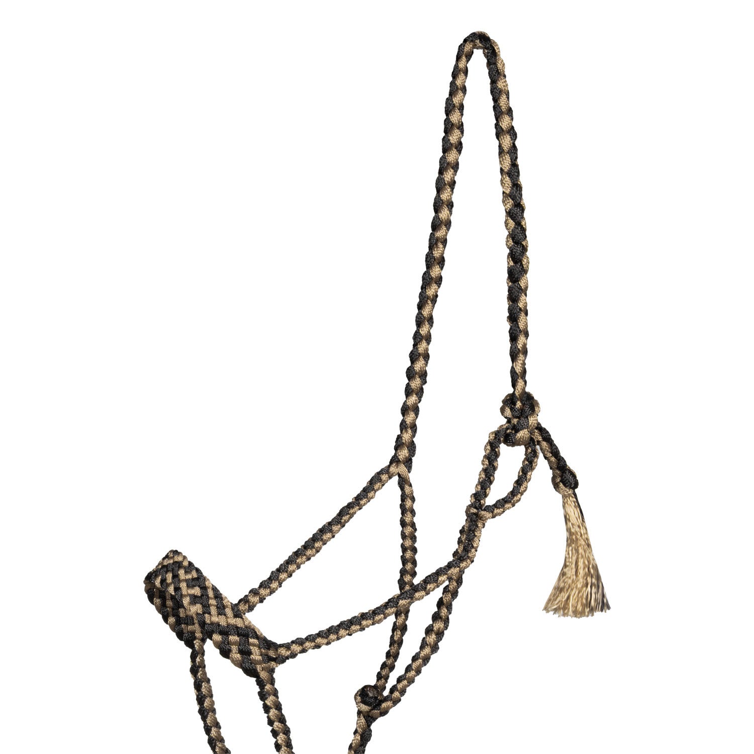 Cabeza larga con ramal Pool's - Black/Beige