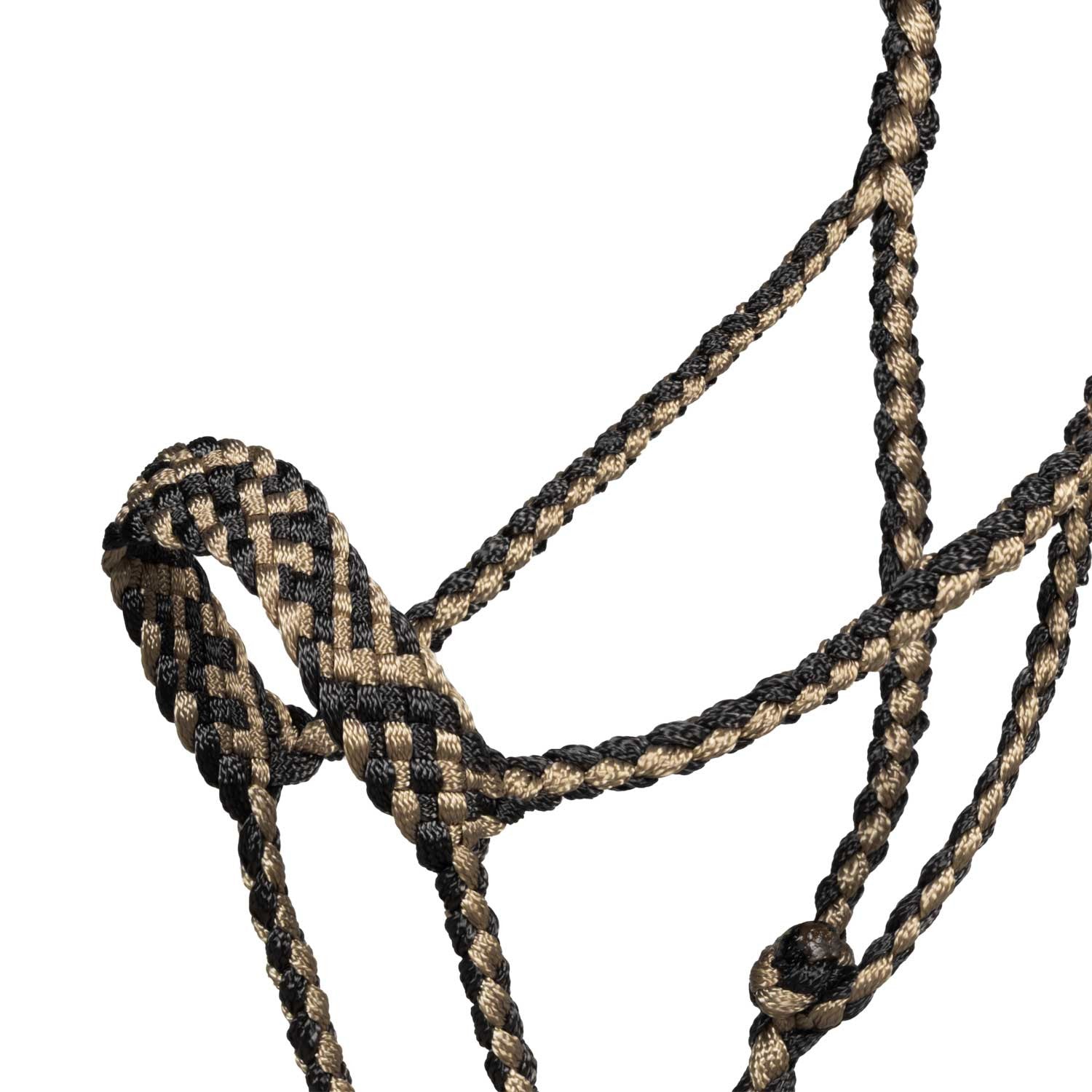 Cabeza larga con ramal Pool's - Black/Beige