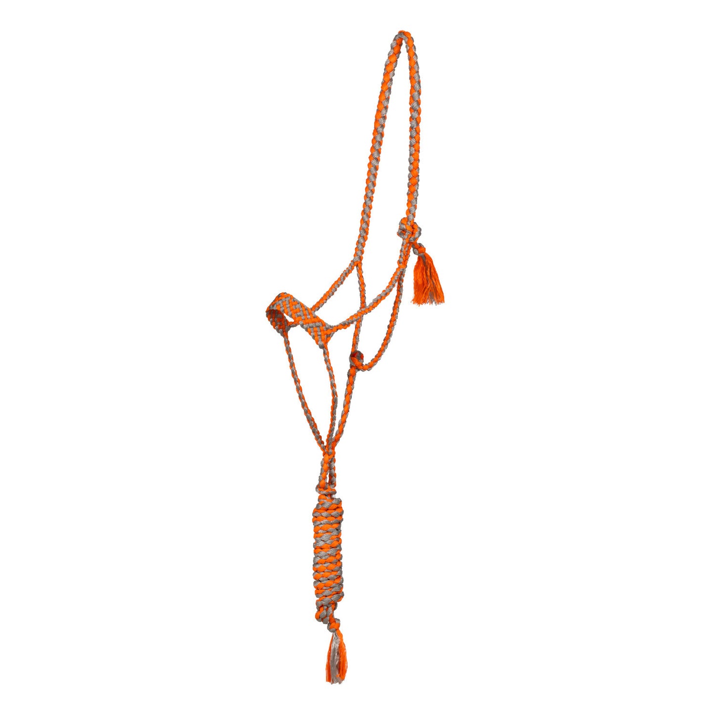 Cabeza larga con ramal Pool's - Orange/Grey
