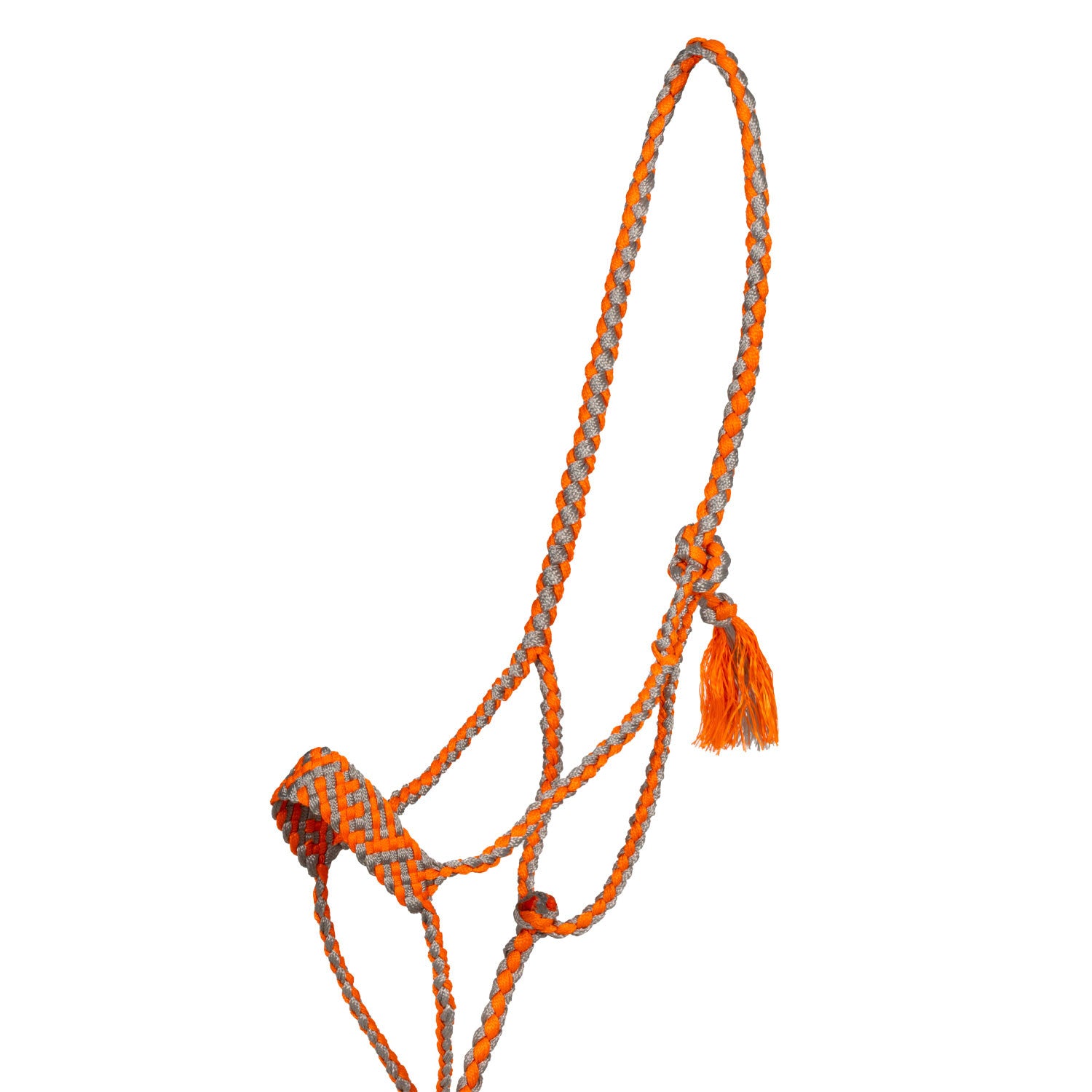 Cabeza larga con ramal Pool's - Orange/Grey