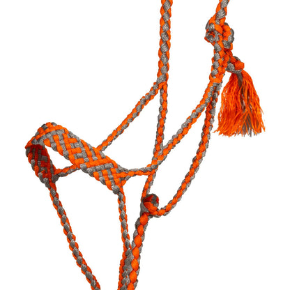 Cabeza larga con ramal Pool's - Orange/Grey