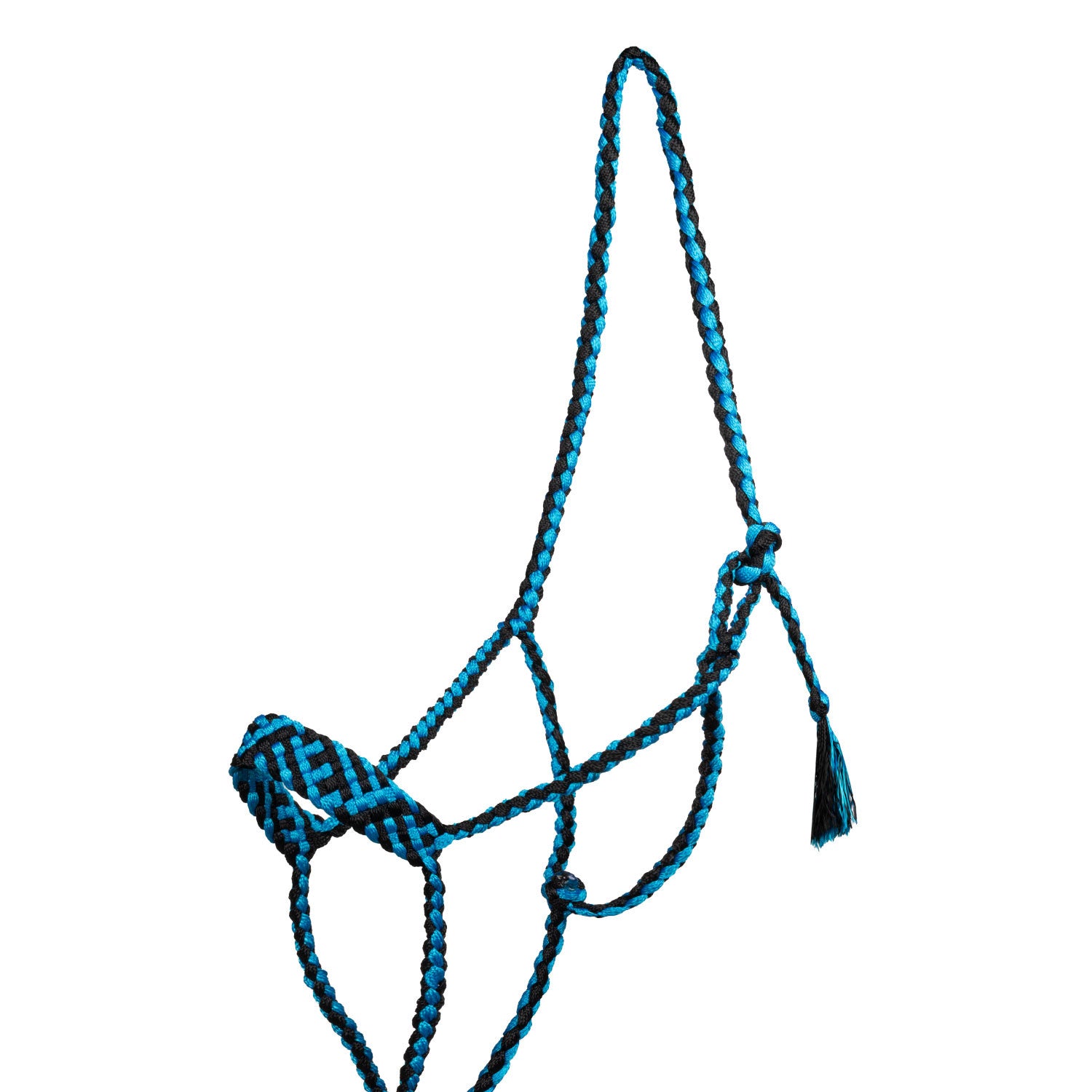 Cabeza larga con ramal Pool's - Turquoise/Black