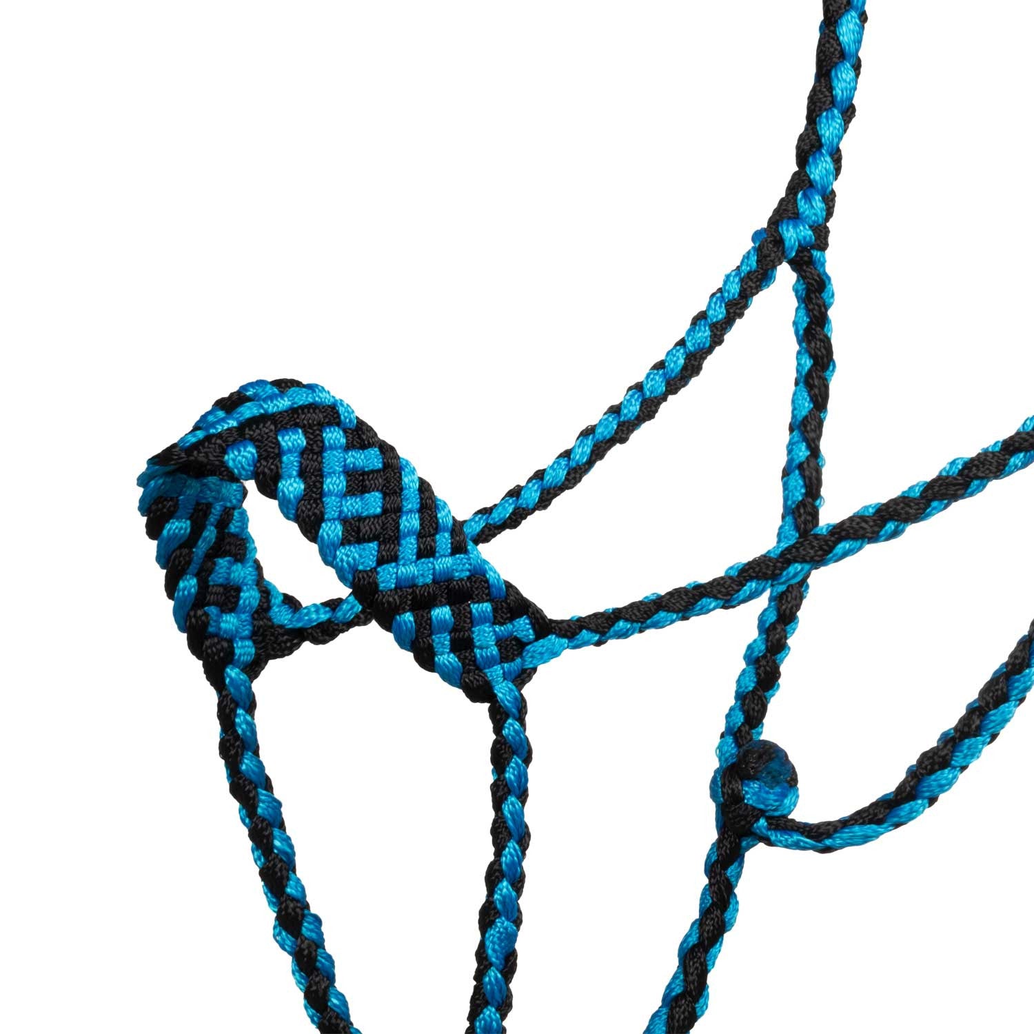 Cabeza larga con ramal Pool's - Turquoise/Black