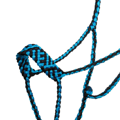 Cabeza larga con ramal Pool's - Turquoise/Black