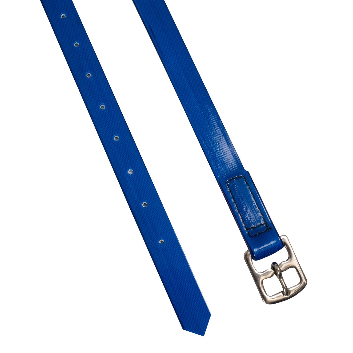 Correas de Biothane Derby - Azul royal