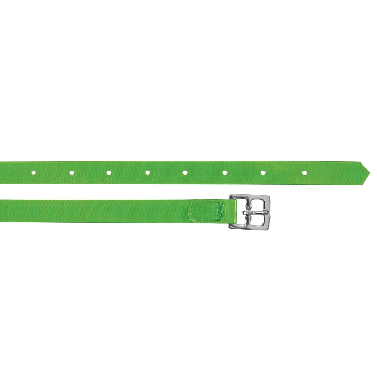 Correas de biothane Umbria Equitazione - Lime