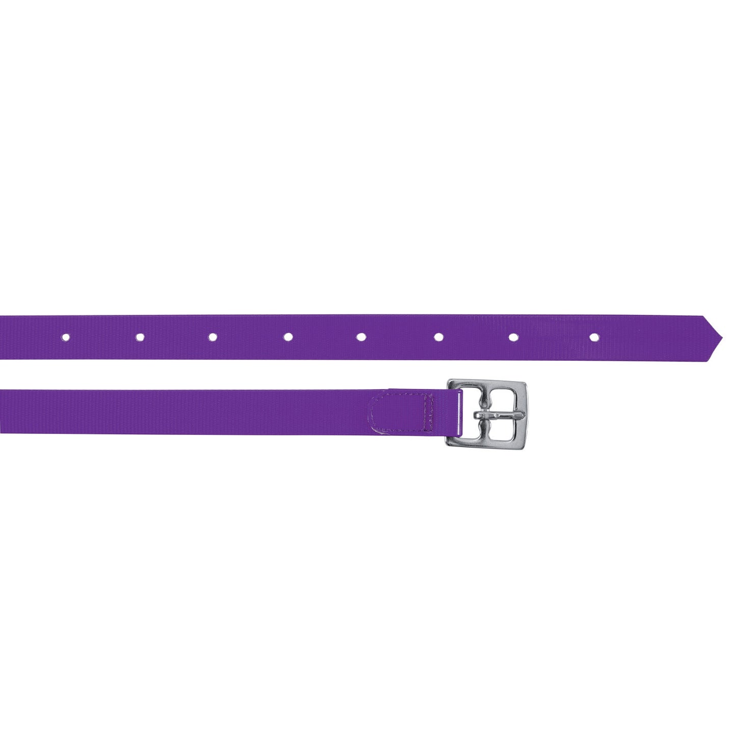 Correas de biothane Umbria Equitazione - Morado