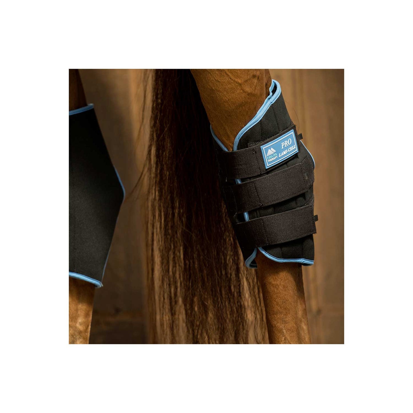 Botas de hockey sobre hielo Lami-Cell
