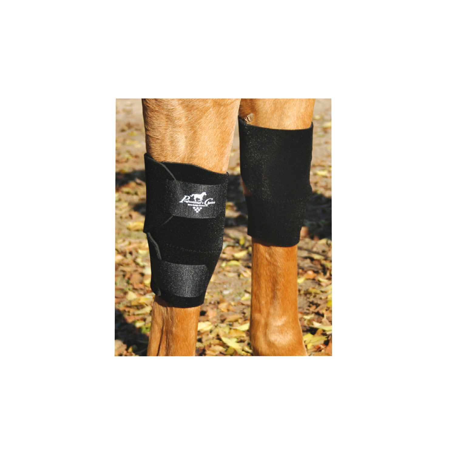 Rodillera caballo Professional's Choice KB101
