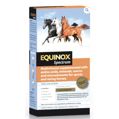 Equinox Flexen - Rincón del Valle