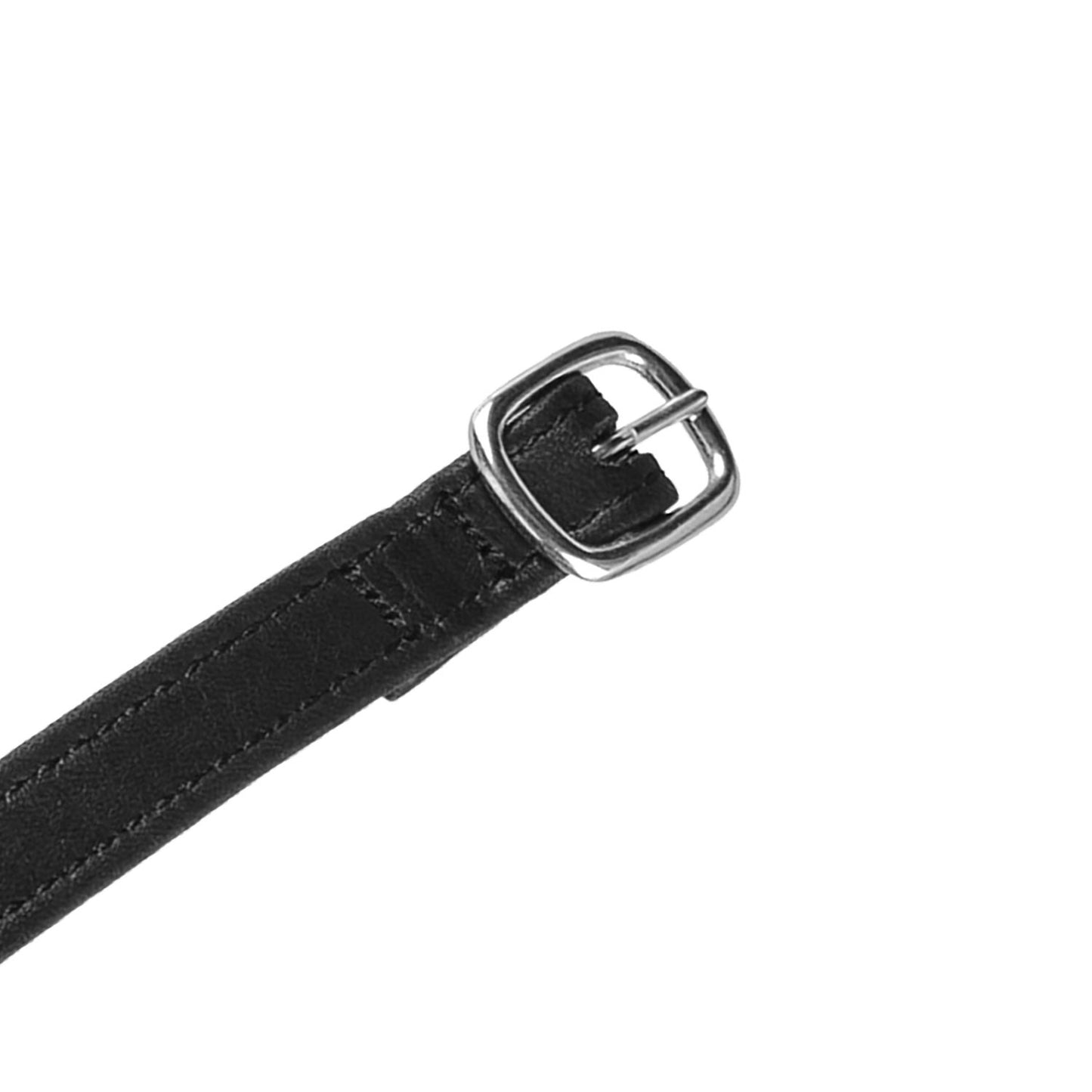 Cordones para espuelas en cuero doble y hebilla plateada Equestro - Negro