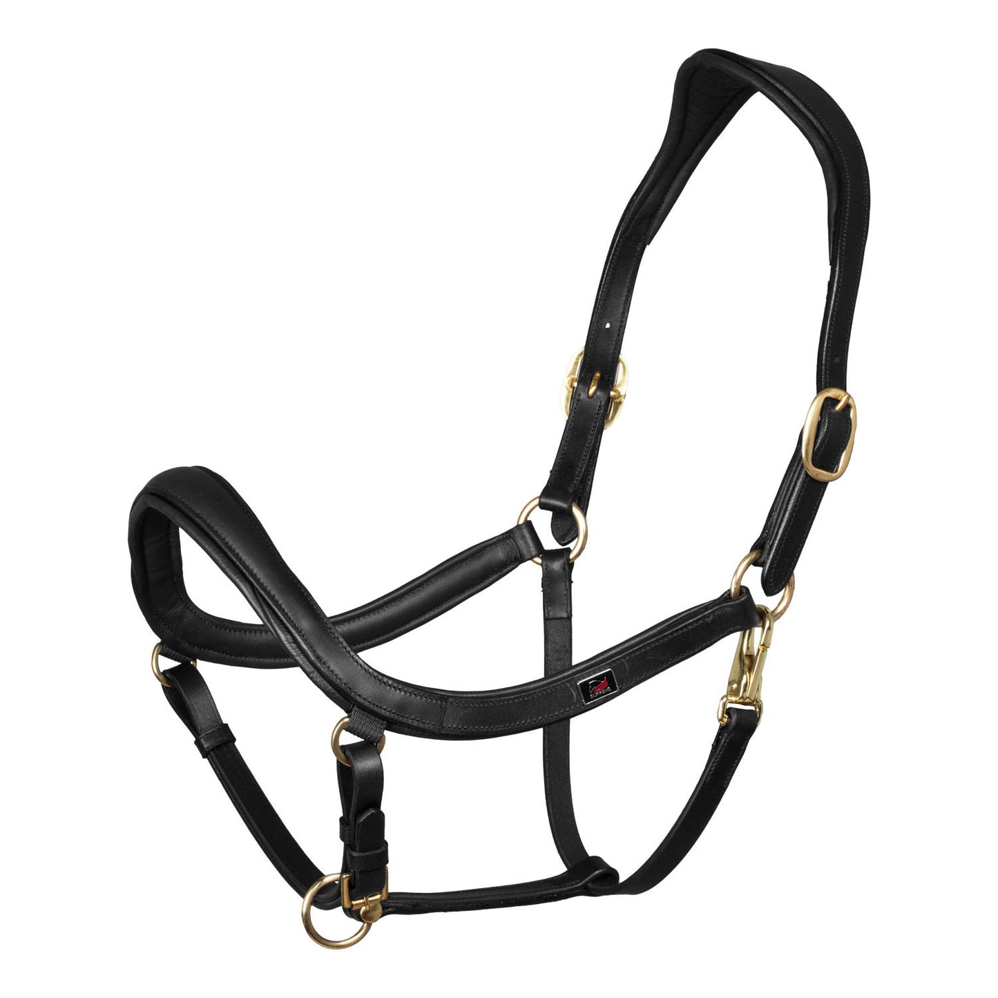 Cabeza anatómica de cuero modelo sueco Supreme
