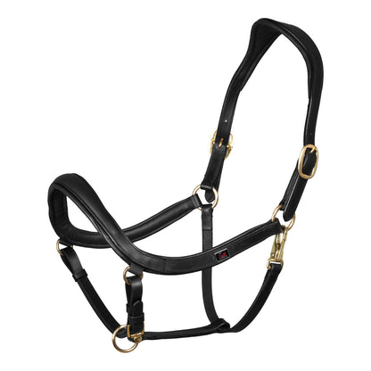 Cabeza anatómica de cuero modelo sueco Supreme