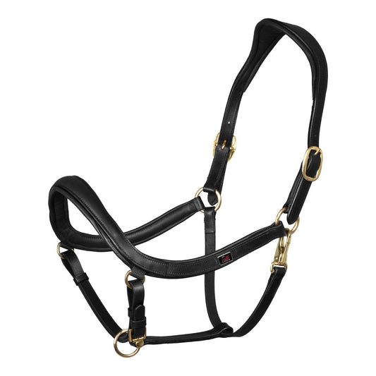 Cabeza anatómica de cuero modelo sueco Supreme