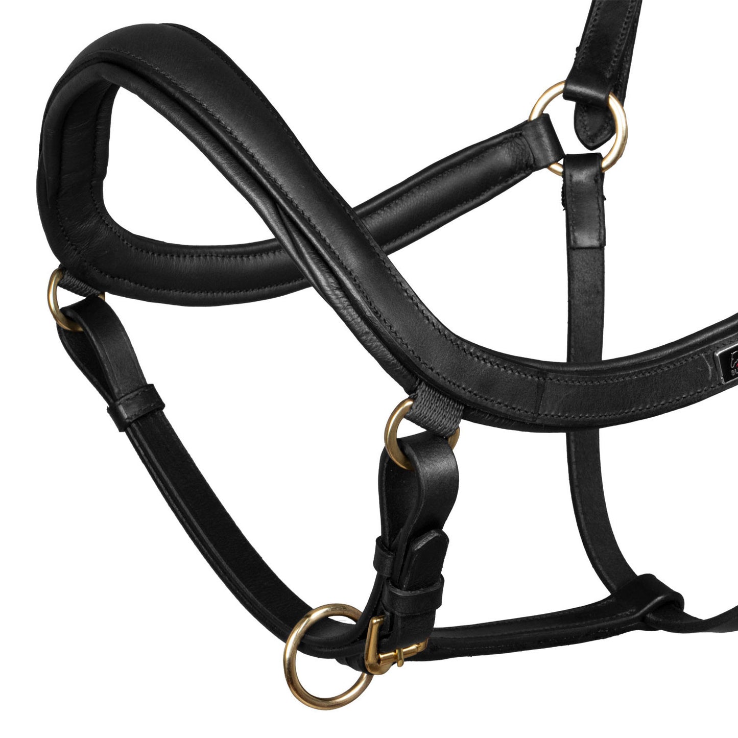 Cabeza anatómica de cuero modelo sueco Supreme - Negro