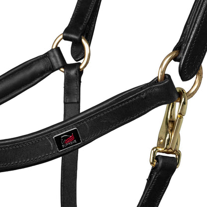 Cabeza anatómica de cuero modelo sueco Supreme - Negro