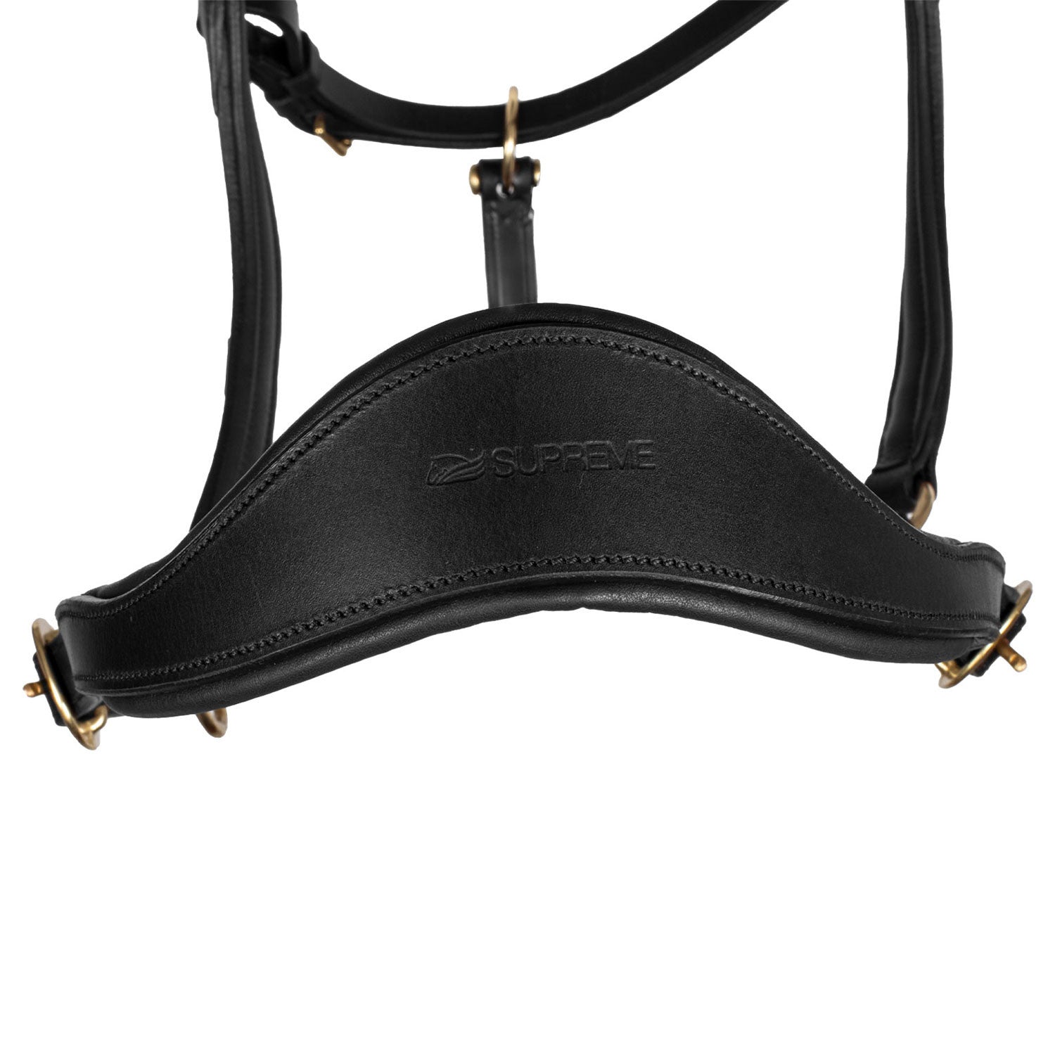 Cabeza anatómica de cuero modelo sueco Supreme - Negro