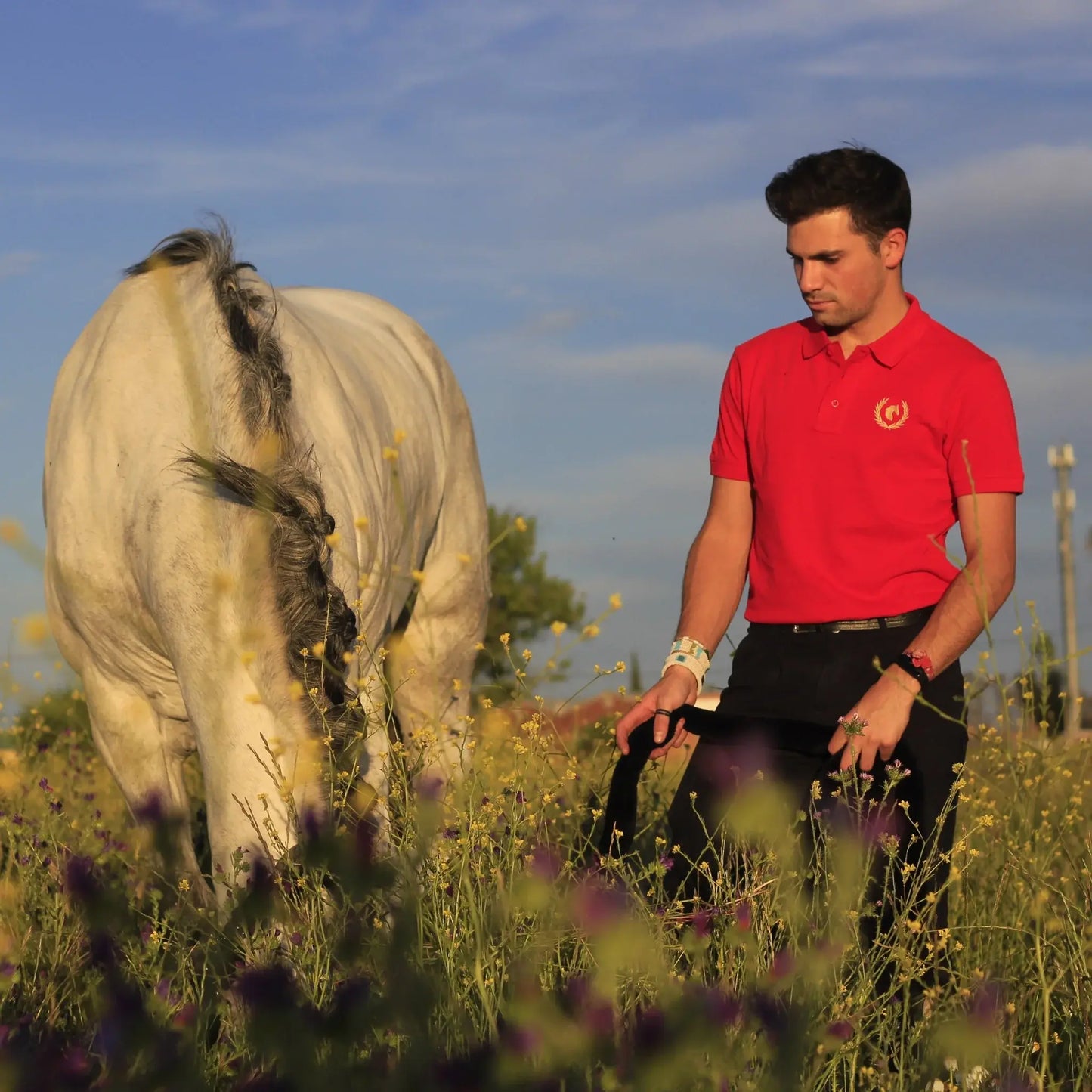 Polo Shafir hombre rojo