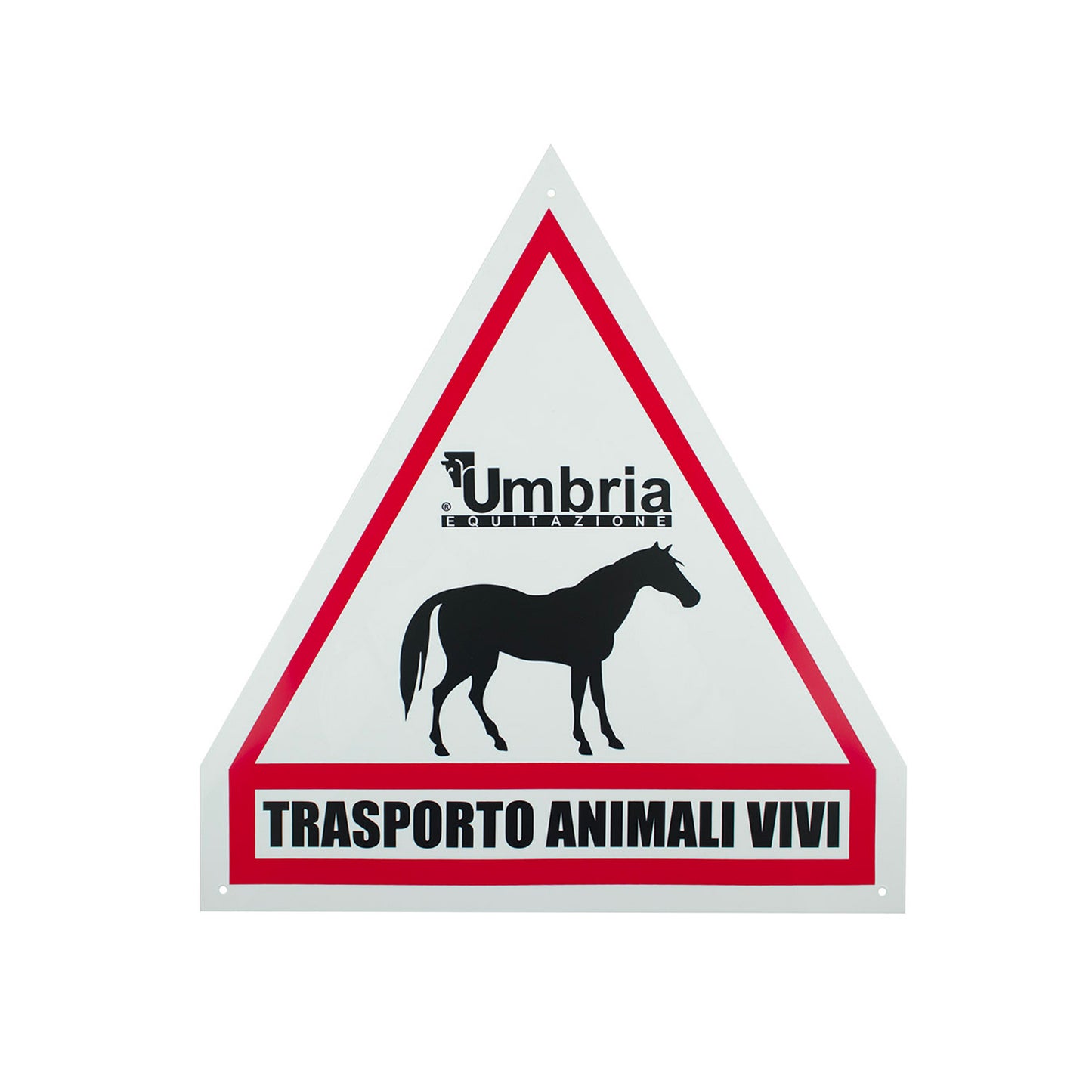 Cartel transporte de caballos Umbría equitación Umbria Equitazione