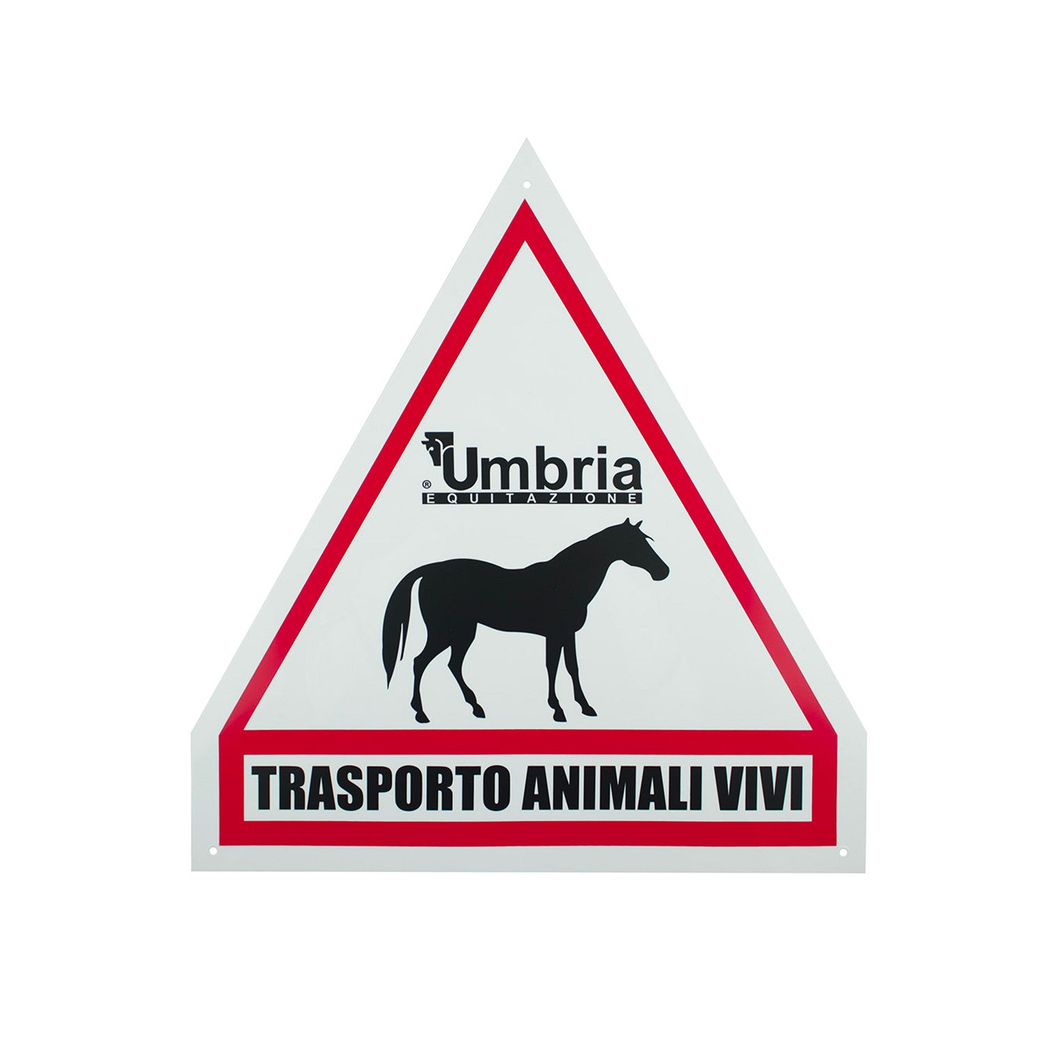 Cartel transporte de caballos Umbría equitación Umbria Equitazione